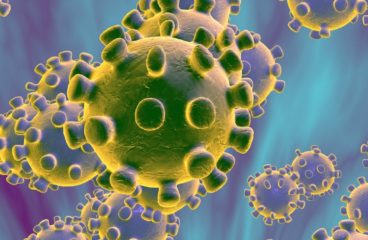 Coronavirus and Mediterranean As A Site of Epidemics